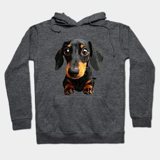 Dachshund Puppy Eyes Cute Dog Hoodie